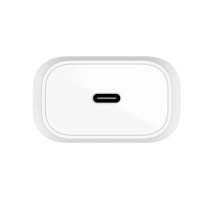 USB-C PD 3.0 PPS Wall Charger 25W + USB-C Cable
