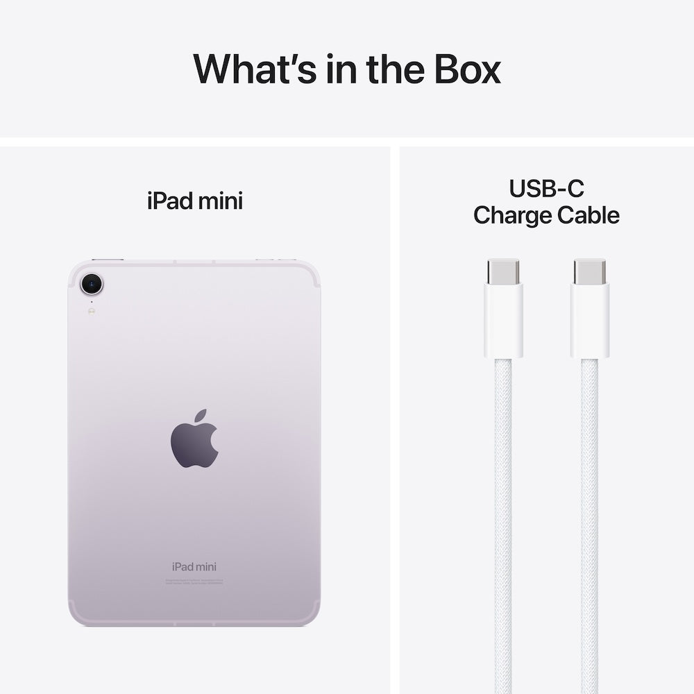 iPad Mini Wi-Fi + Cellular 128GB