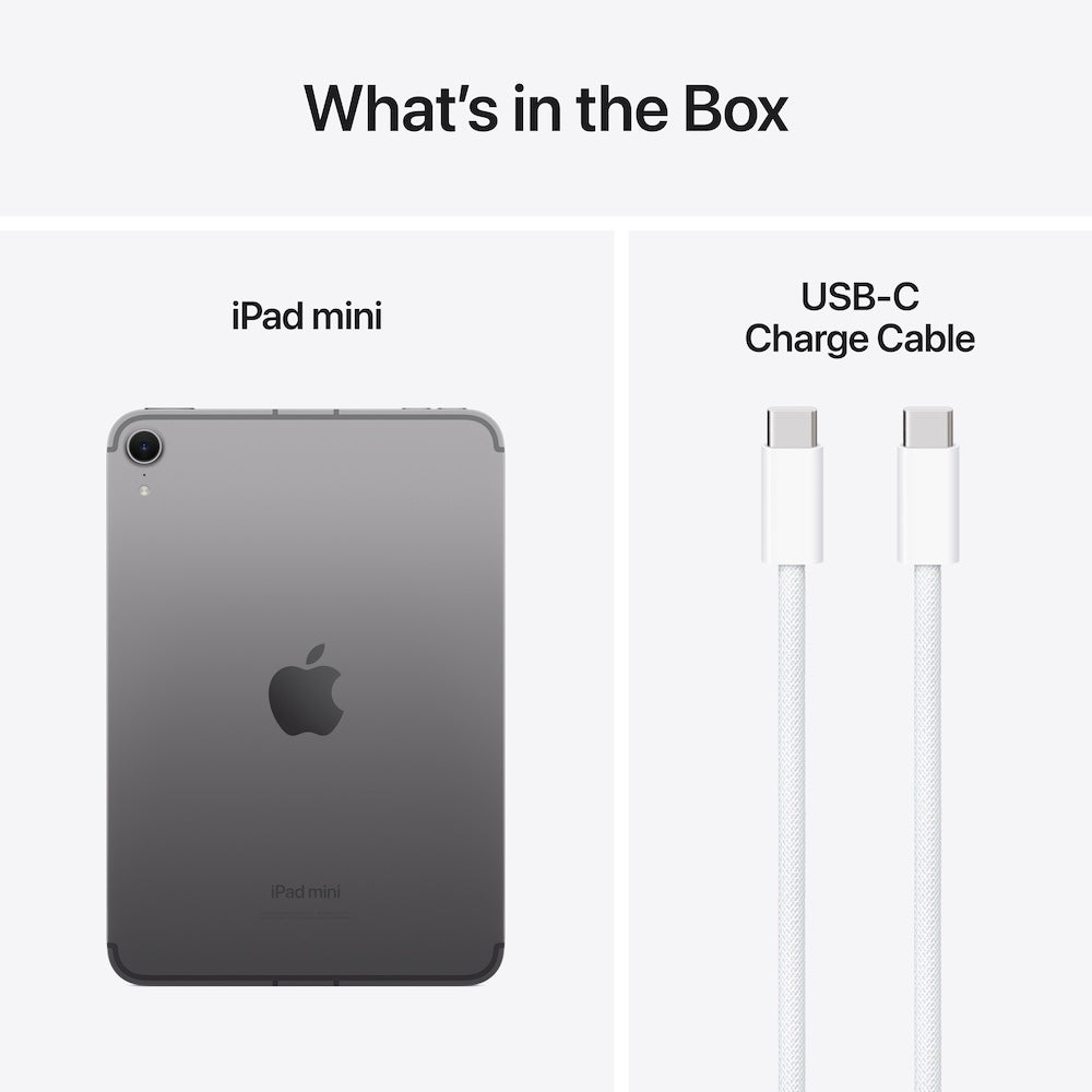 iPad Mini Wi-Fi + Cellular 128GB