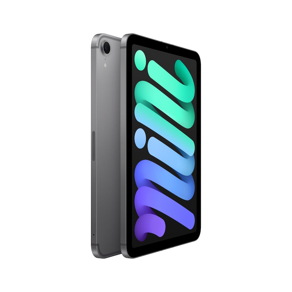 iPad Mini Wi-Fi + Cellular 128GB